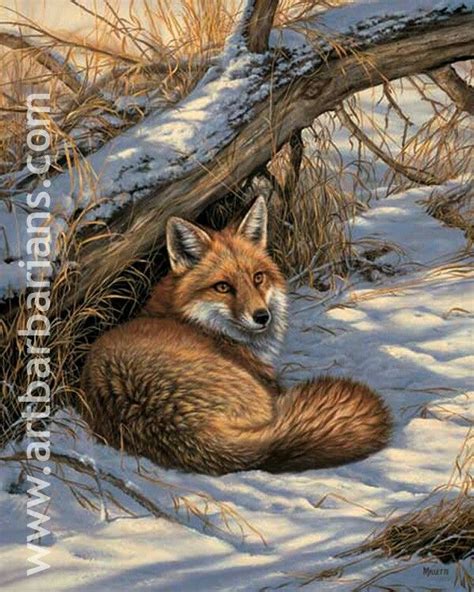Pin By Tara Corley On Painted Animals And Scenery Fox Art Print Red