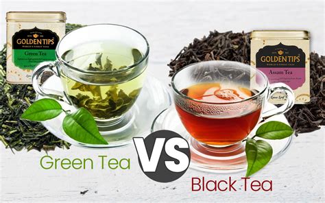Black Tea Vs Green Tea Golden Tips Tea India