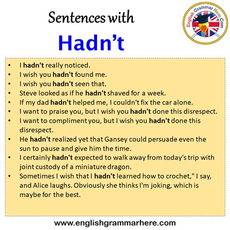 Sentences With Hadnt Hadnt In A Sentence In English Sentences For
