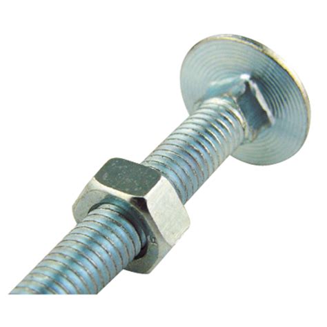 Carriage Bolt And Nut M10 X 150mm