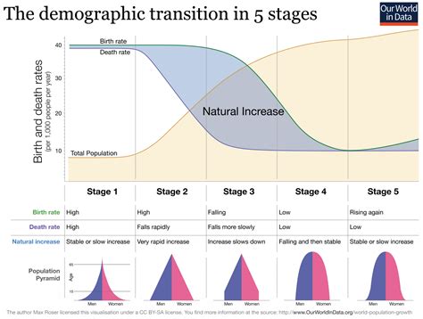 The Demographic Transition Model Intelligent Economist