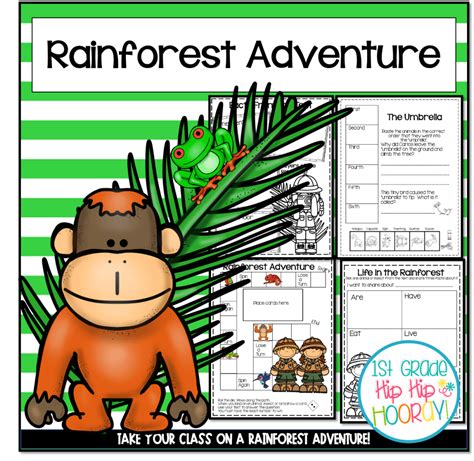 A Rainforest Adventure