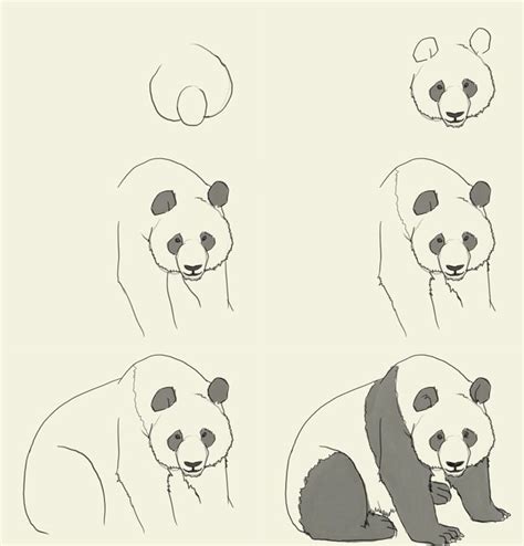 Check spelling or type a new query. how to draw a panda | *Drawing Tutorials* & Videos ...