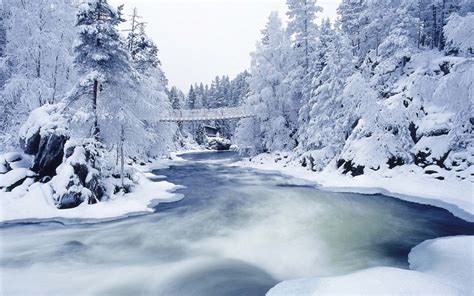 38 Hd Winter Wonderland Wallpaper On Wallpapersafari