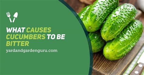 What Makes Cucumbers Bitter And How To Fix It