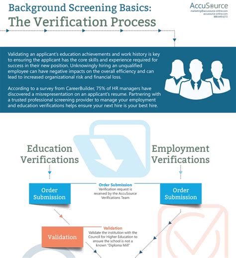Infographic Education And Employment Verification Process