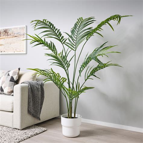 Fejka Artificial Potted Plant Indooroutdoor Kentia Palm 9 Ikea