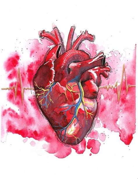 Anatomical Heart Drawing Pintura Graffiti Human Anatomy Art Heart