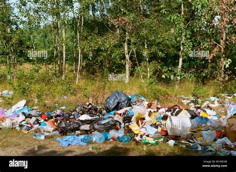 Müll In Der Natur In Der Die Verschmutzung Der Umwelt Müll Im Wald Stockfotografie Alamy