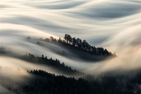 Winter Fog Image National Geographic Your Shot Photo Of The Day