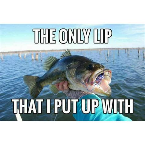 Pin By 163☠️549 Lee On Fishing Jokes Quotes Fishing Memes Funny