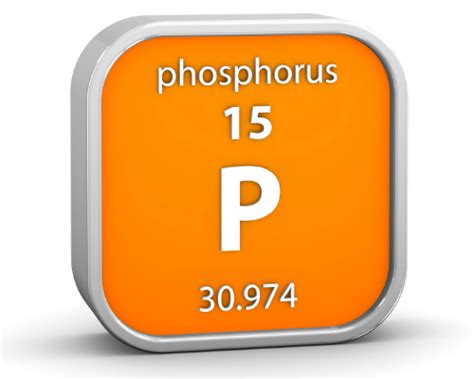Images Of Phosphorus Japaneseclassjp