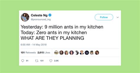 🔴 Hilarious Tweets By Women Catch The Best From Oct 14 20 2024