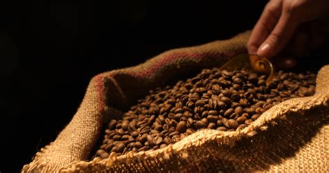 We make it easy to have the best after effects video. VIDEOHIVE COFFEE NIGHTS AT HOME - Free After Effects ...