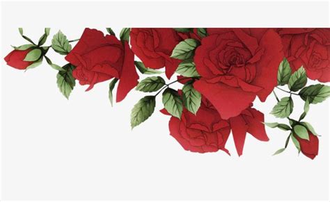 Romantic Red Roses Border Red Rose Clipart Free Material Material