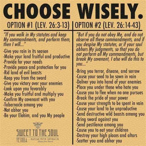 The Blessings And The Curses Choose Wisely Bible Facts Bible