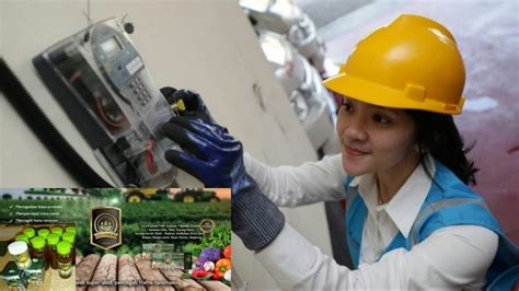 Urghhhhhh ohhhhhh ennnaakkkk banggeeeetttt memekkk istrimuuu hariissss urghhhh ohhhhhhhh ucap pak arso sambil menekankan penisnya. Luar biasa Eco farming bisa menghemat listrik hingga 50% ...