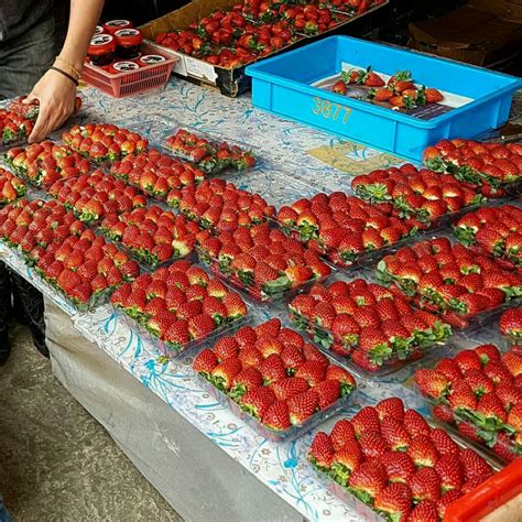 The cameron highlands is a district in pahang, malaysia, occupying an area of 712.18 square kilometres (274.97 sq mi). MAT DRAT... : Tempat Menarik di Cameron Highland