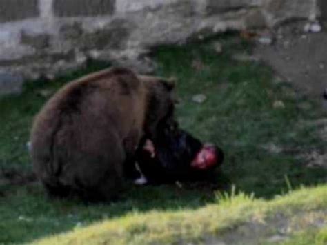 Urso ataca jovem em Zoológico flv YouTube