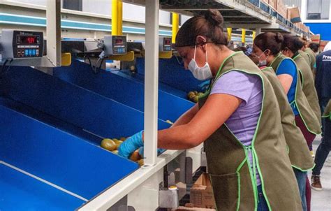 En México Cuatro De Cada Diez Personas Viven En Pobreza Laboral