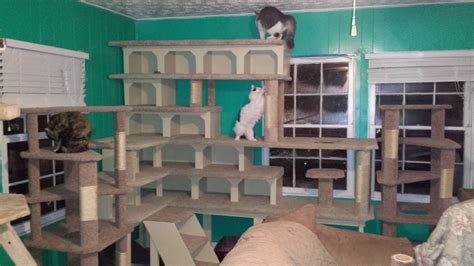 Another Custom Cat Condo Built For One Of The Feral Feline Friends
