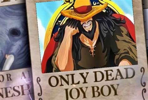 Facts About Joy Boy One Piece Anime And Manga Review