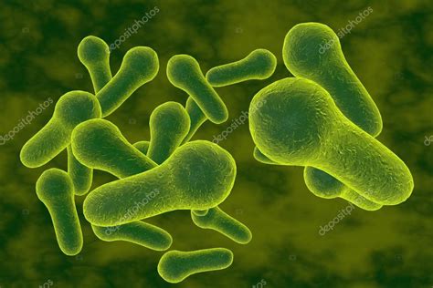 Clostridium tetani is a common soil bacterium and the causative agent of tetanus. Bacteria Clostridium tetani or other clostridia — Stock ...