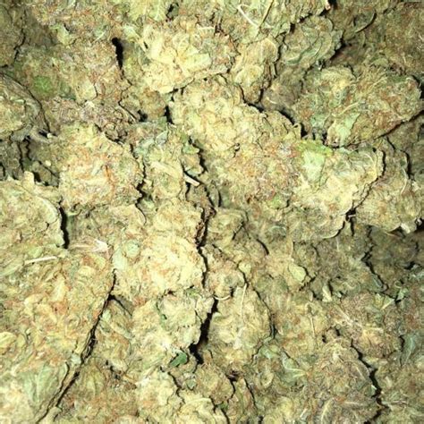 11) when the birthday cake strain cake has completely cooled, you can frost it. Indica Strain Archives | Weed Delivery AU