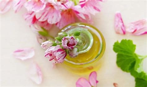 Scientifically Proven Reasons To Use Geranium Oil