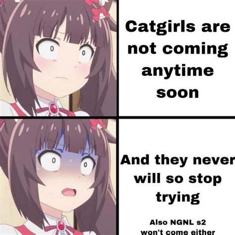 Nekopara Rseasonalanimemes