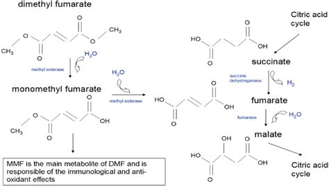 Dimethyl Fumarate In The Treatment Of Relapsingremitting Multiple