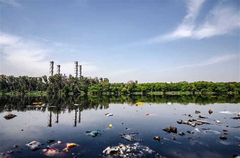 Common Water Pollutants And Their Effects On The Environment