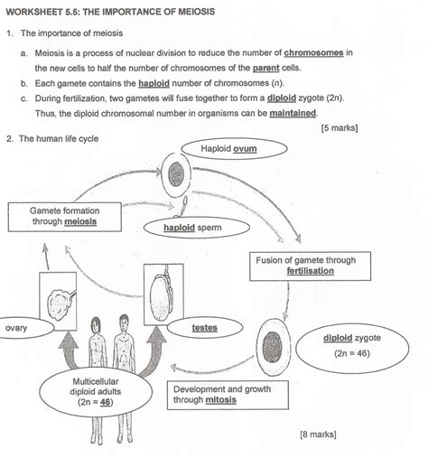 BIOLOGY Form 4 Chapter 5 Module's answer