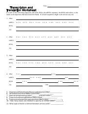 Because in the student worksheet about 90% of the contents of the complete guide are issues, both numerous selection and answer questions which are not available. Transcription and Translation Worksheet - Name For each of ...