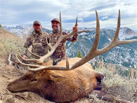 Idaho Wilderness Outfitters Hunting Outfitter Sun Valley Idaho