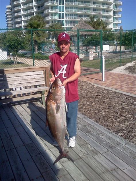 Aj Pics From 15 Pensacola Fishing Forum