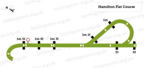 Hamilton Park Racecourse Guide Visitor Info Races And History