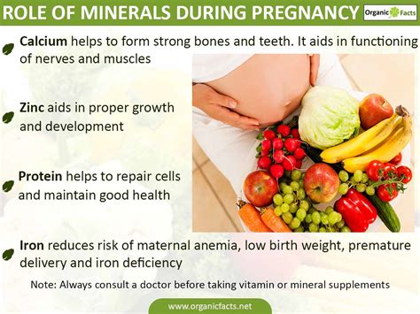 11 Important Vitamins For Pregnancy Organic Facts