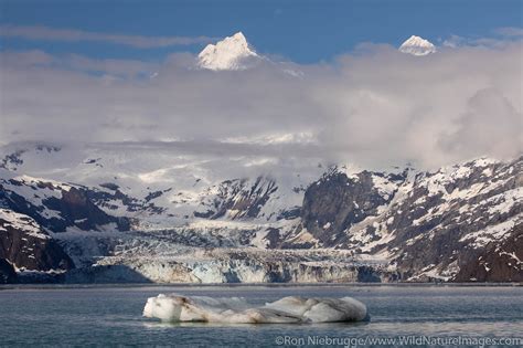 John Hopkins Glacier Glacier Bay National Park Alaska Photos By