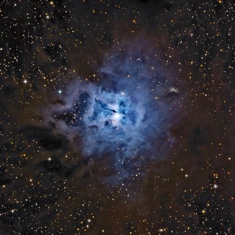 The Iris Nebula Ngc 7023 Astronomy Magazine Interactive Star