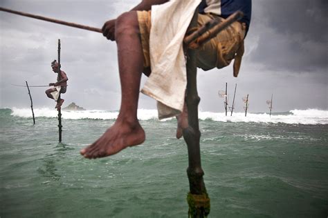 The Dying Tradition Of Sri Lankan Stilt Fishing Captured In Powerful