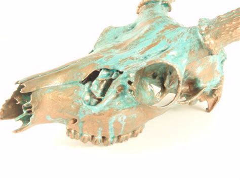 Large Copper Natural Aqua Patina Deer Painted Skull Antlers Etsy