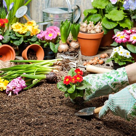 Garden Essentials 25L Multi Purpose Potting Mix - Bunnings Australia