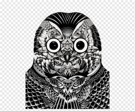 Kumpulan sketsa gambar burung elang hantu merpati merak. Barn Owl Ilustrasi Menggambar Burung Avatar Burung Hantu ...