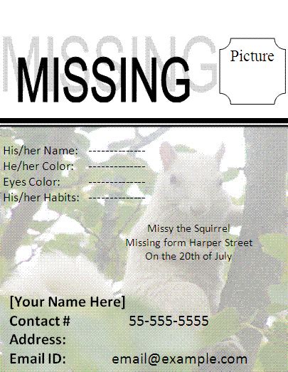 Spotted in minneapolis was a missing cat poster that married dad jokes to we have no idea who put up the missing cat poster, but we do know that it was spotted by elise matthesen, 57, who then promptly posted it on her. Missing Cat Poster Template | Free Business Templates
