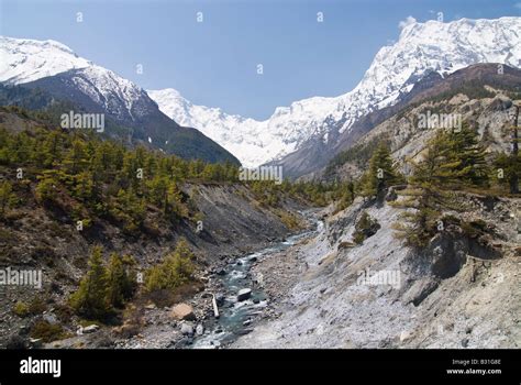 Manang Valley Annapurna Mountains Nepal Stock Photo Alamy
