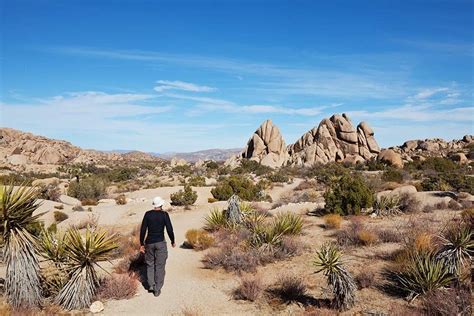 Discover The Best Hikes In Joshua Tree National Park This Guide