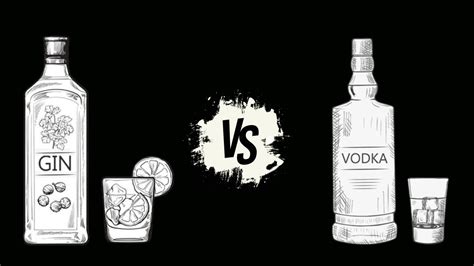 What Are The Differences Between Vodka And Gin