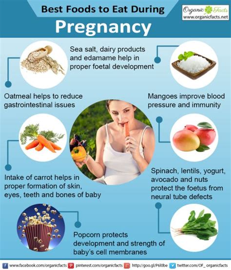 What Are The Best Foods To Eat In Early Pregnancy The Best Foods To Eat