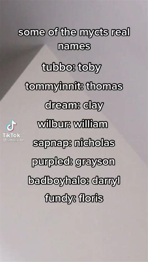 List Of All Dream Smp Members Names Feqtumh